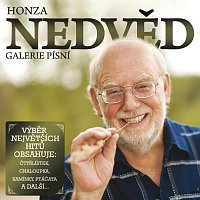 Jan Nedvěd – Galerie pisni CD