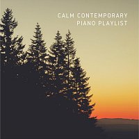 Přední strana obalu CD Calm Contemporary Piano Playlist