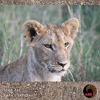 Slim Ali – Papa's Land