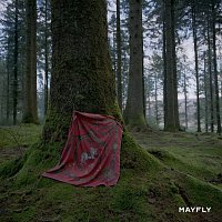 Mantaraybryn – Mayfly