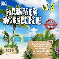 Různí interpreti – Hammer Mukke - 2019 Vol. 3