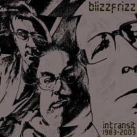 blizzfrizz – In Transit