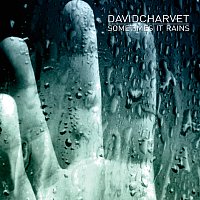David Charvet – Sometimes It Rains