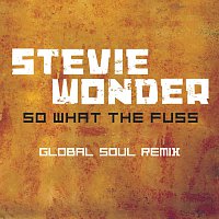 Stevie Wonder – So What The Fuss-Global Soul Remix