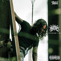 Přední strana obalu CD Vermiis