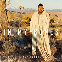 Ray Dalton – In My Bones (Malik Montana Remix)