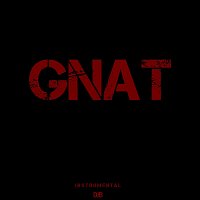 DJB – Gnat (Instrumental)