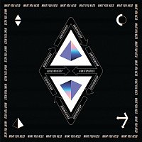 GOOSE – What You Need [NONSTOP Live Remix]