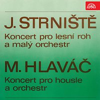 Přední strana obalu CD Strniště: Koncert pro lesní roh a malý orchestr, Hlaváč: Koncert pro housle a orchestr