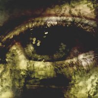 Liricistas – Eyau!