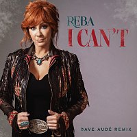 I Can't [Dave Audé Remix]