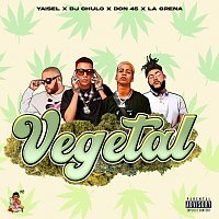 DJ Chulo NYC, Yaisel LM, El Don 45 – Vegetal