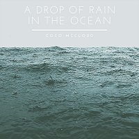 Coco McCloud – A Drop of Rain in the Ocean