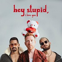 Hey Stupid, I Love You (Spanglish Version)