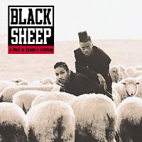 Black Sheep – A Wolf In Sheep's Clothing