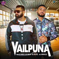 Přední strana obalu CD Vailpuna