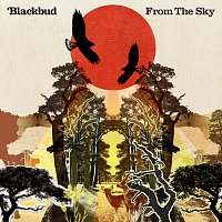 Blackbud – From The Sky