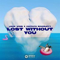 Přední strana obalu CD Lost Without You (Extended Mix)