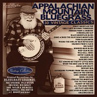 Přední strana obalu CD Appalachian Mountain Bluegrass - 30 Vintage Classics