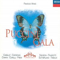 Přední strana obalu CD Puccini Gala