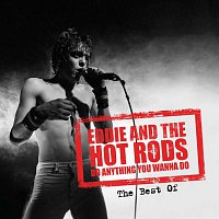 Přední strana obalu CD Do Anything You Wanna Do: The Best Of