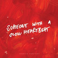 Přední strana obalu CD Someone With a Slow Heartbeat