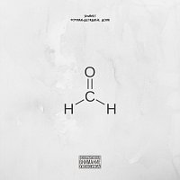 Přední strana obalu CD Формальдегидные дома