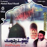 Abdul Rauf Roofi – Gaisoo-e-Rehmat, Vol. 13
