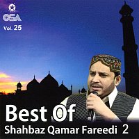 Shahbaz Qamar Fareedi – Best Of Shahbaz Qamar Fareedi 2, Vol. 25
