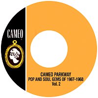 Přední strana obalu CD Cameo Parkway Pop And Soul Gems Of 1967-1968 Vol. 2
