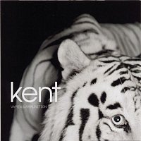 Kent – Vapen & ammunition