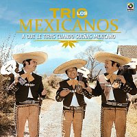 Trío los Mexicanos – A Qué Le Tiras Cuando Suenas Mexicano