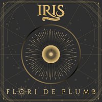 IRIS  - Nelu Dumitrescu – Flori de plumb