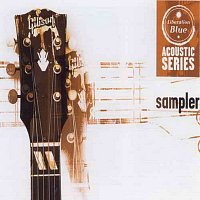 Acoustic Series Sampler [II]