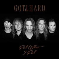 Gotthard – Feel What I Feel (Live, Acoustic 2018)