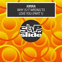 Amira – Why Is It Wrong To Love You, Pt. 1