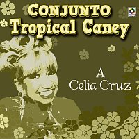 A Celia Cruz