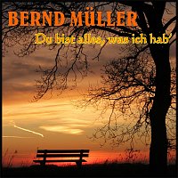 Bernd Muller – Du bist alles, was ich hab'