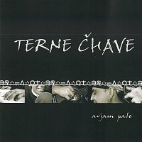 Terne Čhave – Avjam Pale CD