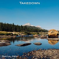 Partial Pain – Takedown