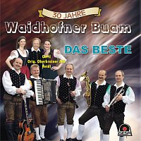 Waidhofner Buam – 30 Jahre - Das Beste