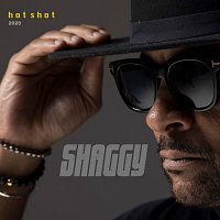 Shaggy, Sting – Angel (Hot Shot 2020)