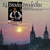 Přední strana obalu CD Ej, Brode, Brodečku