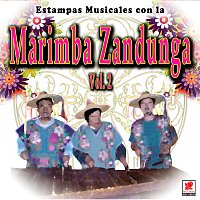 Estampas Musicales Con La Marimba Zandunga, Vol. 2