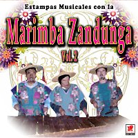 Marimba Zandunga – Estampas Musicales Con La Marimba Zandunga, Vol. 2