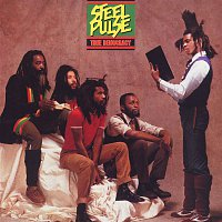 Steel Pulse – True Democracy