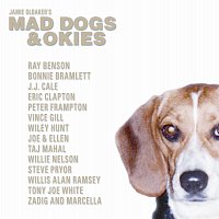 Jamie Oldaker's Mad Dogs & Okies