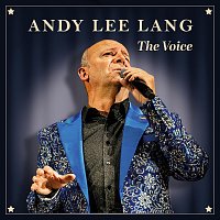 Andy Lee Lang – The Voice