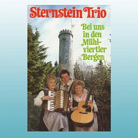 Sternstein Trio – Bei uns in den Muhlviertler Bergen