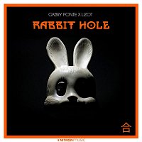 Přední strana obalu CD Rabbit Hole
